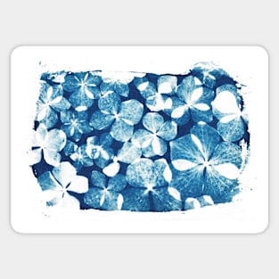 Hydrangea Cyanotype Sticker